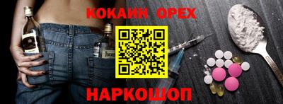 спиды Кингисепп