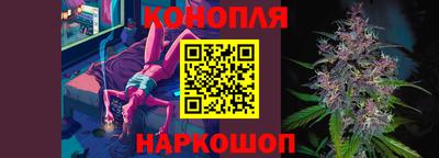 спиды Кингисепп