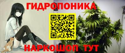 спиды Кингисепп