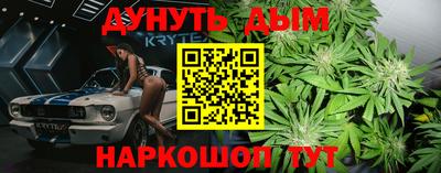 спиды Кингисепп
