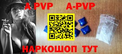 спиды Кингисепп