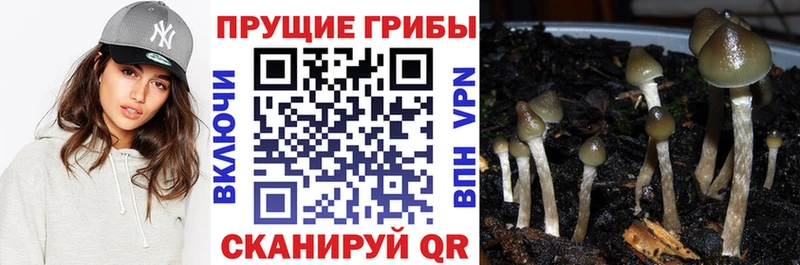 Галлюциногенные грибы мухоморы  Среднеуральск 