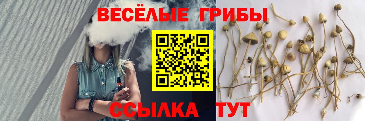 Псилоцибиновые грибы MAGIC MUSHROOMS  Псилоцибиновые грибы мухоморы  Вход с VPN  Среднеуральск 